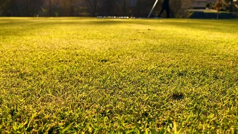 Golfer Using Rake on the Putting Green and Collecting the Golf Range Ball 動画素材 126814756