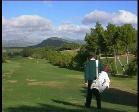 Golfer walking the fairway Stock Footage 112977