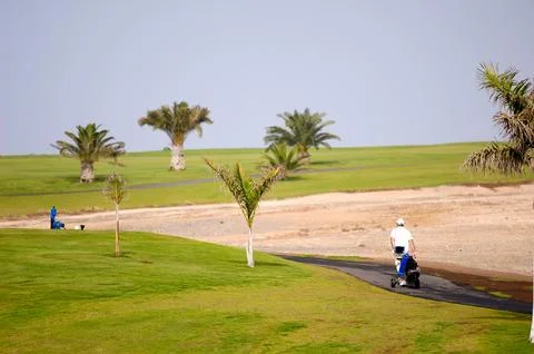 Golfer walking Stock Photos