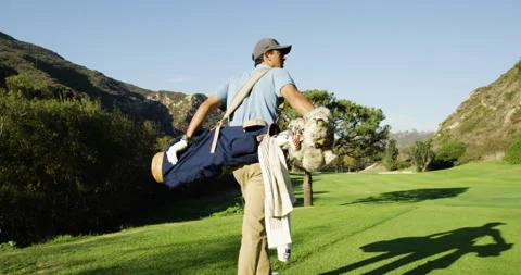 Golfer Walks the Course Stock Footage 262119124