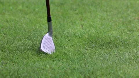 A golfer was preparing to hit with a putter on the green ground Видео 143716277