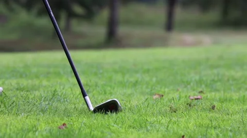 A golfer was preparing to hit with a putter on the green ground Video stock 143716488