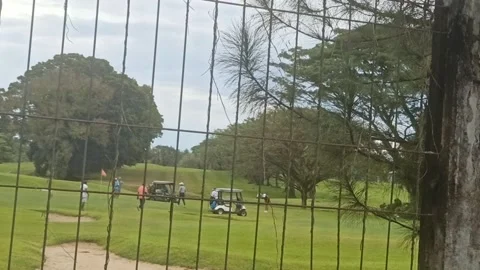 Golfers Stock Footage 231425503