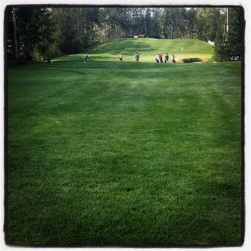 Golfers on golf course Fotos Stock