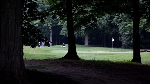 Golfers playing golf, on a golf course  Stock Footage 124825709