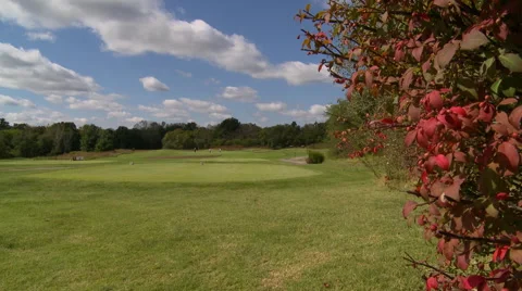 Golfers red bush Stock Footage 68753258