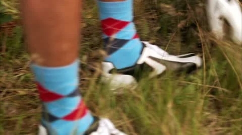 Golfers searching for a missing golf ball Stock Footage 11311091