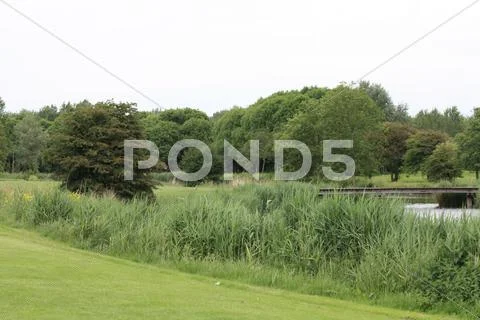 Golfgreen Stock Photos