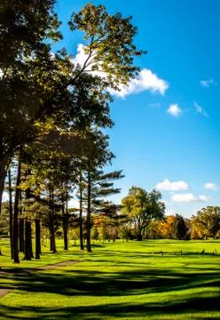 Golfing Geese Stock Photos