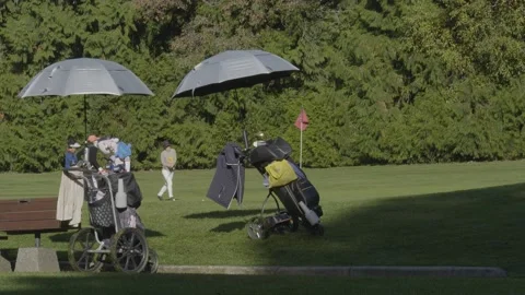 Golfing. Ladies playing golf. 스톡 동영상 142598009