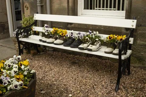 Golfing Pansies Foto stock