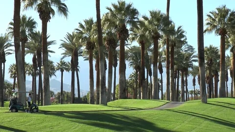 Golfing in Paradise beneath the Palms 스톡 동영상 82589388