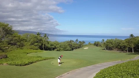 Golfing in paradise Stock Footage 86339218