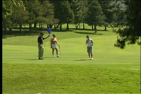 Golfing threesome Video stock 343551