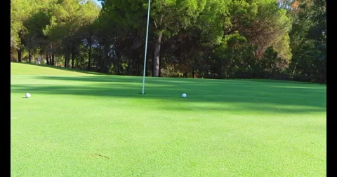 Golfplayerputtingballintoholeoncourse Stock Footage 325322468