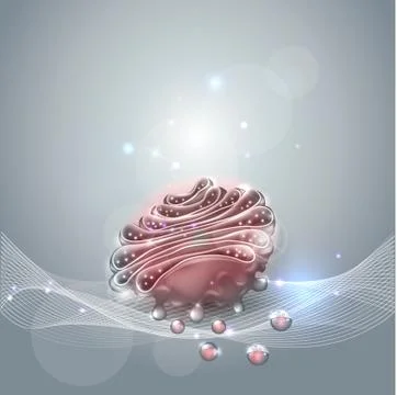 Golgi apparatus Stock Illustration