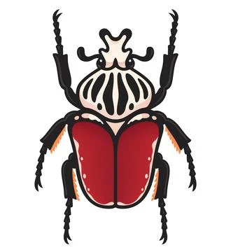 Goliath beetle illustration Stock Illustration