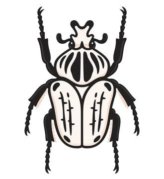 Goliath beetle illustration Stock Illustration