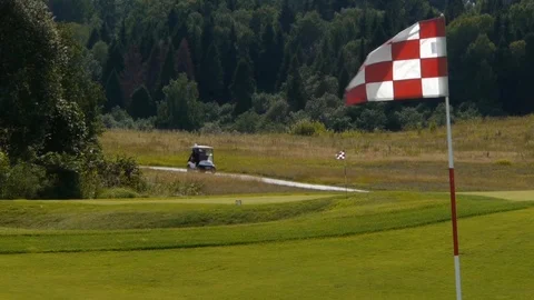 Golif Stock Footage 101661442