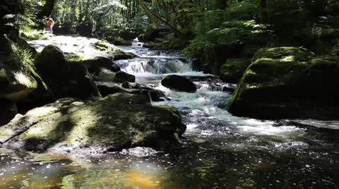 Golitha Falls Bodmin Moor Cornwall England UK Stock Footage 25592406