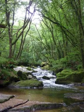 Golitha Falls Stock Photos