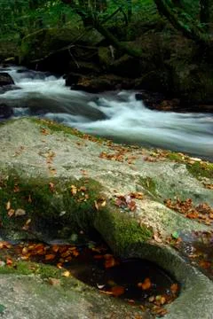 Golitha Falls Stock Photos