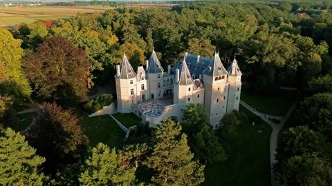 Goluchow Castle Stock Footage 327923116