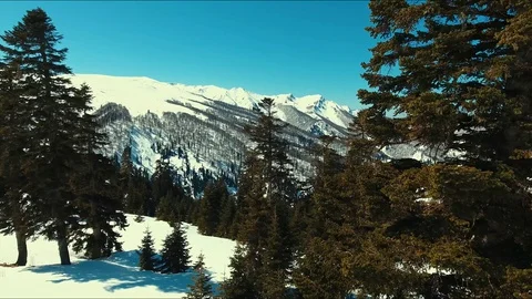 Gomi mountain, mountains and trees covered by snow Video stock 127828279