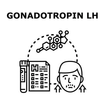 Gonadotropin lh hormone level testing concept イラスト素材
