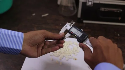 Gondal, India - 08/10/2024: manager testing food in different ways through Stock Footage 282952682