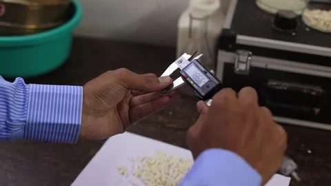 Gondal, India - 08/10/2024: Quality testing of different foods by Stock Footage 282952777