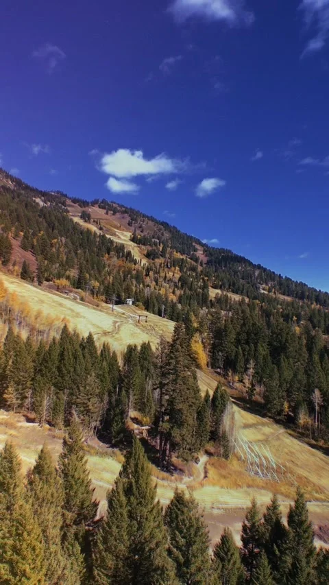 Gondola point of view heading up Rendezvous Mountian in Autumn Stock Footage 314669338