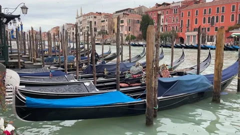 Gondola Preparation Stock Footage 238658756