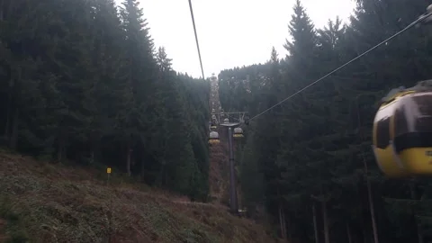 Gondola ride through trees Stock Footage 229795163