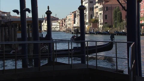 GONDOLA RIDES VENICE Stock Footage 83132447
