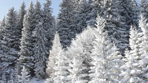 Gondola Winter Landscape Stock Footage 1001970