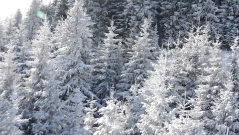 Gondola Winter Landscape Stock Footage 1001978