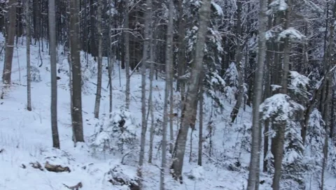 Gondola Winter Landscape Stock Footage 1001985