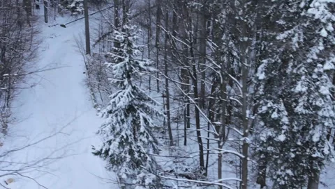 Gondola Winter Landscape Stock Footage 1001987