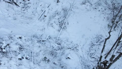 Gondola Winter Landscape Stock Footage 1002656