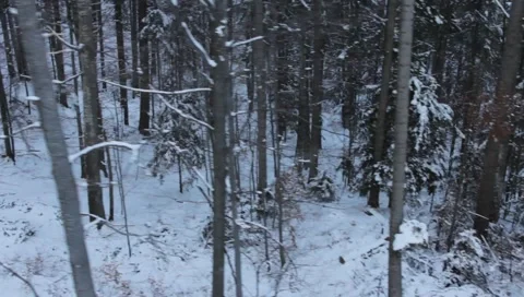 Gondola Winter Landscape Stock Footage 1002658