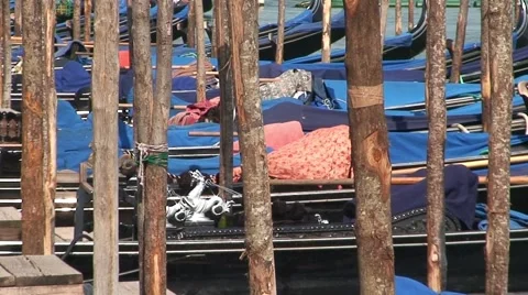 Gondolas and Mooring Sticks Video stock 1059615