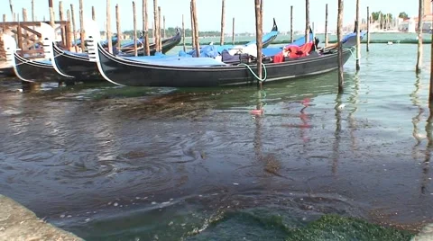 Gondolas and Swell Video stock 1059629