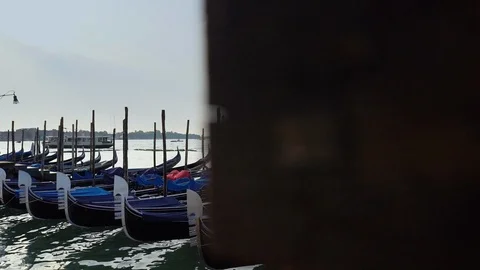 Gondolas Float in Venice Morning Stock Footage 114578868