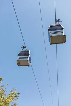 Gondolas glide quietly along cables high above, surrounded by green foliage.  Stock Photos
