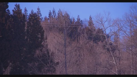 Gondolas in Japan Stock Footage 89890434