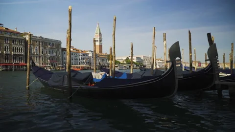 Gondolas rock in the water of Venice in front of St. Mark's square, Venice, 4K Stock Footage 142463738