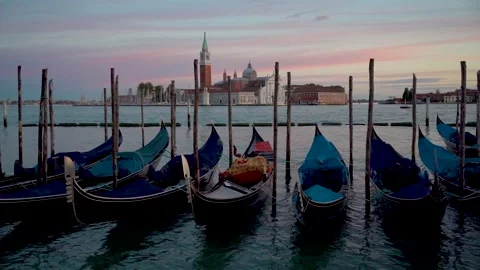Gondolas in San Marco square Video stock 166819588