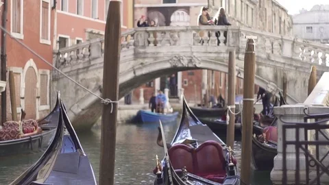 Gondolas in Venice Stock Footage 82432090