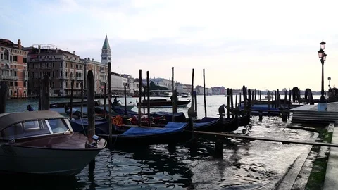 Gondolas in Venice Stock Footage 88091911